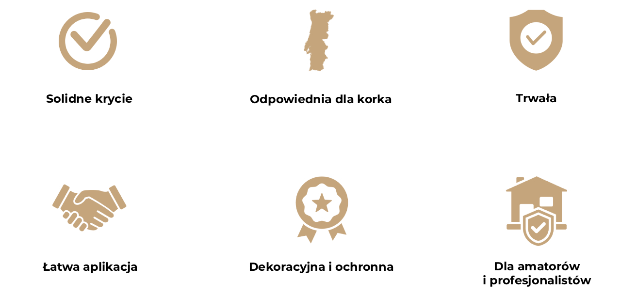 Obraz przedstawia sześć ikon opisujących zalety farby do korka.